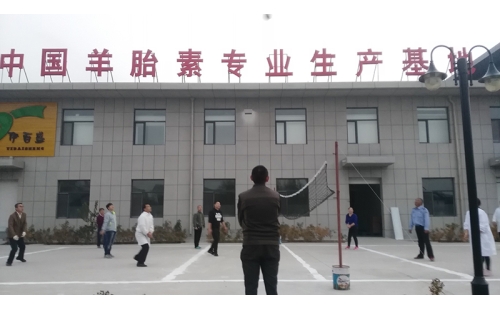 排球傳溫情，員工齊聚心