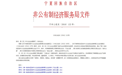 祝賀我公司被認(rèn)定為“第一批自治區(qū)中小企業(yè)創(chuàng)業(yè)創(chuàng)新梯隊(duì) 成長之星”的榮譽(yù)稱號(hào)