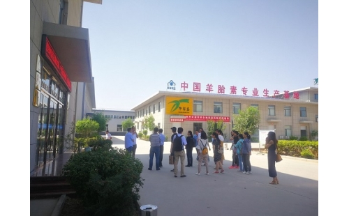 江南大學(xué)、寧夏大學(xué)課題組專家蒞臨伊百盛調(diào)研交流