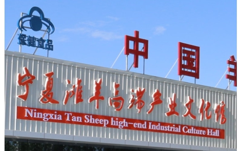 羊胎素的作用原理、功效和使用禁忌