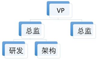 五維協同 研發、產品、架構、業務與項目管理下的多元組織架構建設與市場營銷策略融合